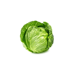 Onion