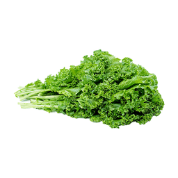 Onion