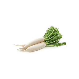 Onion